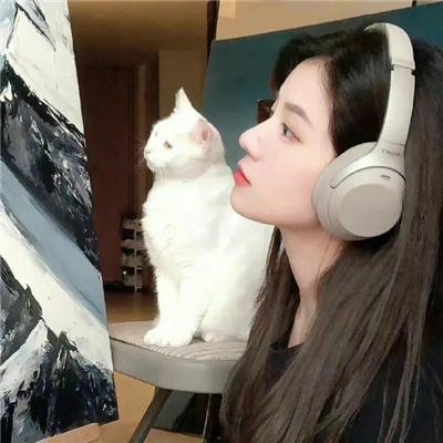 没头脑和不高兴