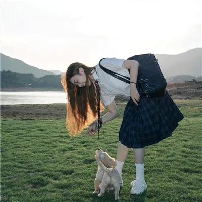 明月山海揽芳华